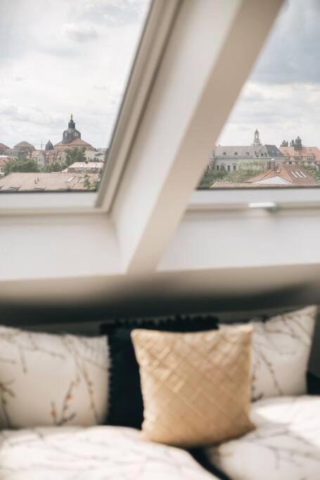 Tip! Toplage In Dresden! Moderne 100 Qm Ferienwohnung Fuer Familien Und Kleine Gruppen エクステリア 写真
