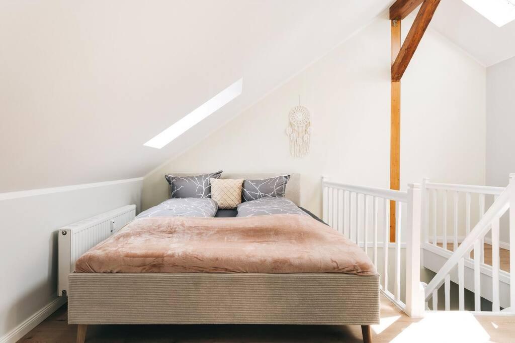 Tip! Toplage In Dresden! Moderne 100 Qm Ferienwohnung Fuer Familien Und Kleine Gruppen エクステリア 写真