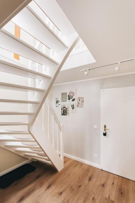 Tip! Toplage In Dresden! Moderne 100 Qm Ferienwohnung Fuer Familien Und Kleine Gruppen エクステリア 写真